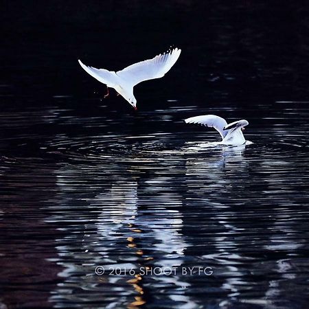 Gite Bord De Marne Paris บรี-ซัวร์-มาร์น ภายนอก รูปภาพ
