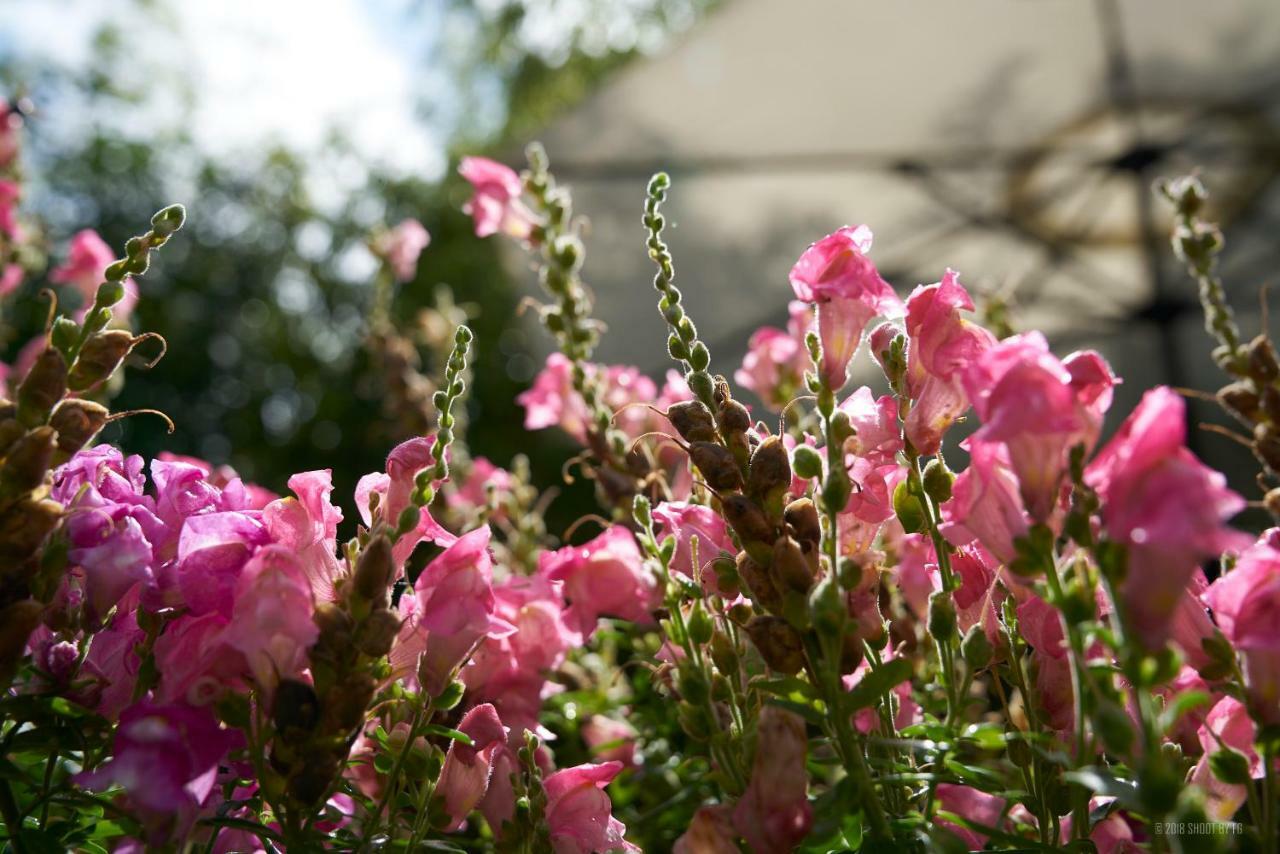 Gite Bord De Marne Paris บรี-ซัวร์-มาร์น ภายนอก รูปภาพ