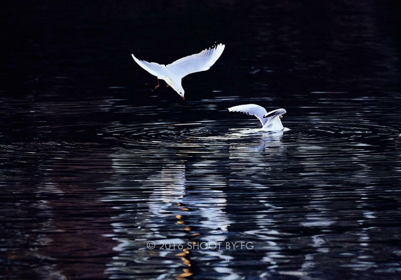 Gite Bord De Marne Paris บรี-ซัวร์-มาร์น ภายนอก รูปภาพ