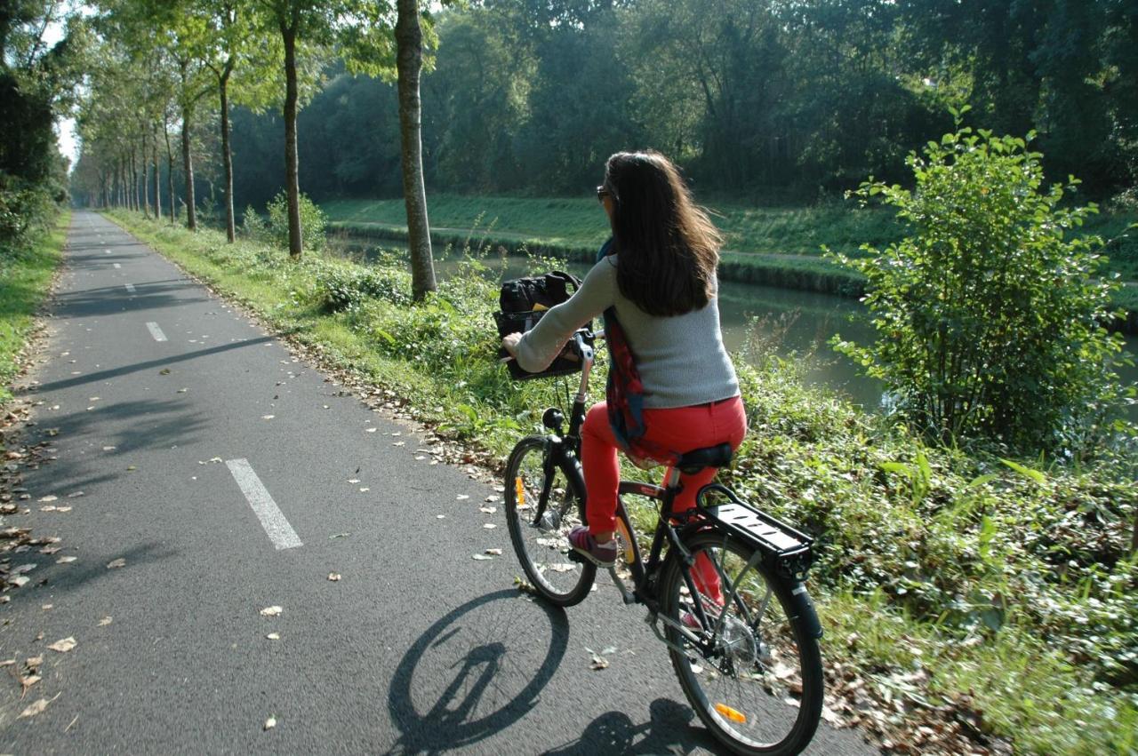 Gite Bord De Marne Paris บรี-ซัวร์-มาร์น ภายนอก รูปภาพ